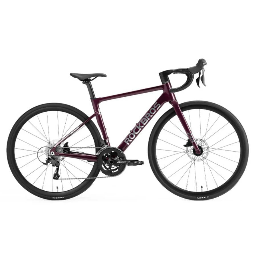 ROCKBROS FLR-W3 bicicleta de carretera Endurance Master S-Ride R510 2x10 cambio integración aerodinámica 700x28c neumáticos ajuste preciso de tallas para largas distancias freno hidráulico