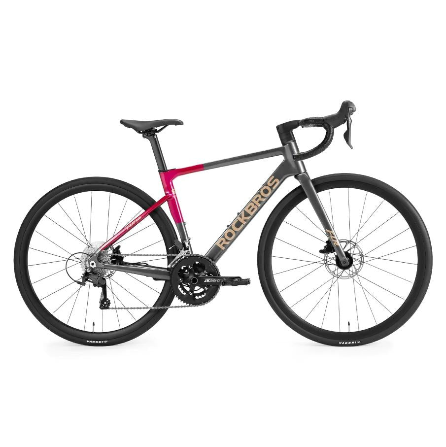 ROCKBROS FLR-W3 bicicleta de carretera Endurance Master S-Ride R510 2x10 cambio integración aerodinámica 700x28c neumáticos ajuste preciso de tallas para largas distancias freno hidráulico