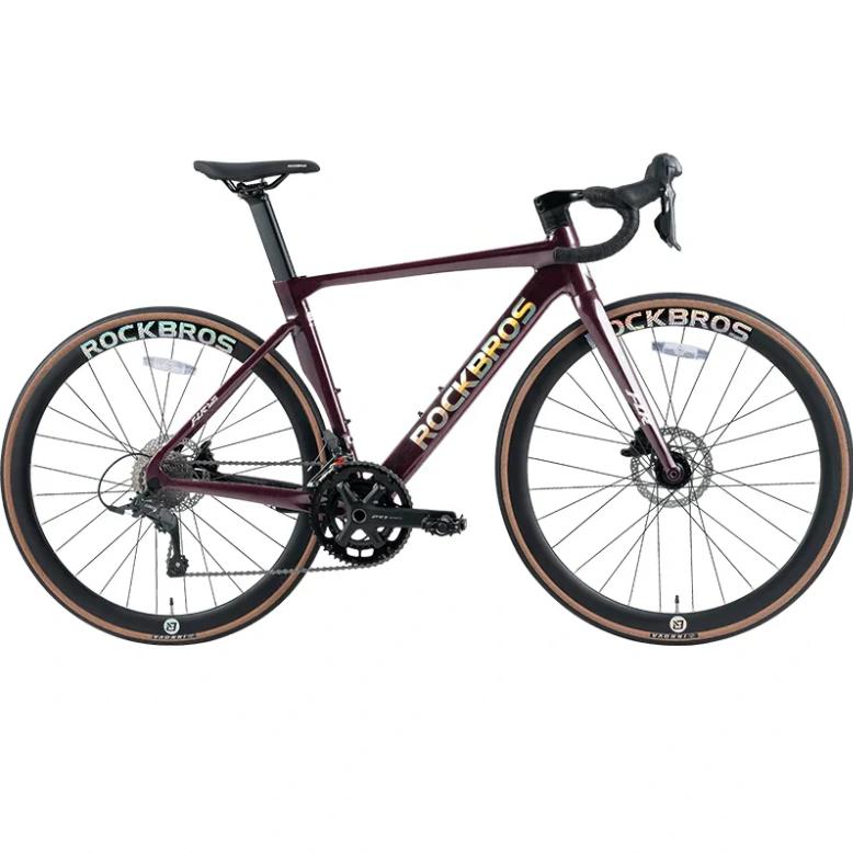 ROCKBROS FLR-W3 bicicleta de carretera Endurance Master S-Ride R510 2x10 cambio integración aerodinámica 700x28c neumáticos ajuste preciso de tallas para largas distancias freno hidráulico